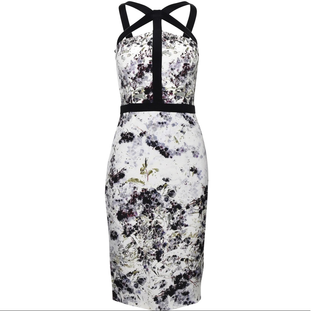Cushnie Et Ochs Mutli color Silk Dress